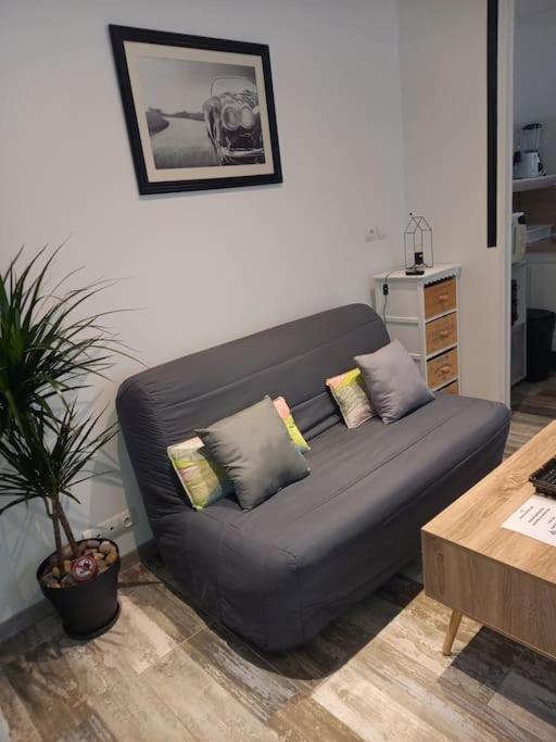 Cosy T2, Meuble De Tourisme 3 Etoiles, Parking Ferme , 2Velos, Wi-Fi Narbona Exterior foto